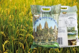 Près de 160 millions de dollars pour développer le secteur agricole au Cambodge