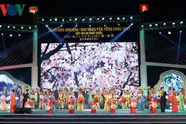 Les cerisiers et abricotiers s'épanouissent de nouveau dans la ville d'Ha Long