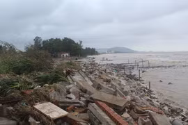 Typhon Doksuri : aide de la Croix-Rouge vietnamienne pour les sinistrés du Centre