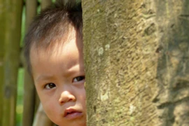 Exposition sur le Vietnam d'un peintre français