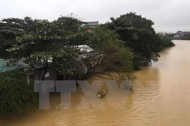 Aides aux sinistrés des catastrophes naturelles au Vietnam