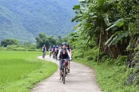 L'Asie du Nord-Est, premier marché touristique du Vietnam ce 1er semestre