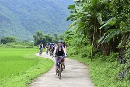 L'Asie du Nord-Est, premier marché touristique du Vietnam ce 1er semestre