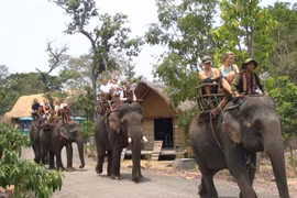 Dak Lak accueille plus de 110.000 touristes pour le Têt du Coq