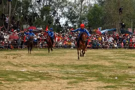 La course hippique de printemps à Phu Yên