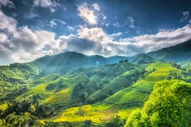 Le journal américain Thrillist suggère 12 expériences pour explorer le Vietnam