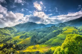 Le journal américain Thrillist suggère 12 expériences pour explorer le Vietnam