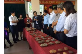 Découverte d’un atelier de fabrication de haches en pierre datant de plus de 1 000 ans