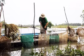 Delta du Mékong: les inondations devraient arriver plus tôt cette année