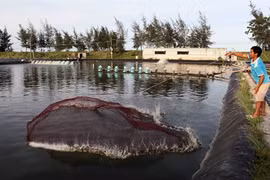 Thanh Hoa : des conditions optimales pour les entreprises 