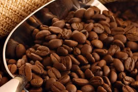 Le Vietnam réalise un excédent commercial de 343 millions de dollars avec la Russie