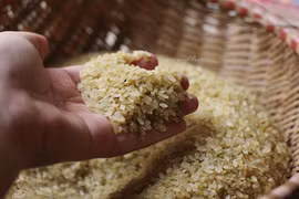 Le Tet traditionnel aux quatre coins du pays