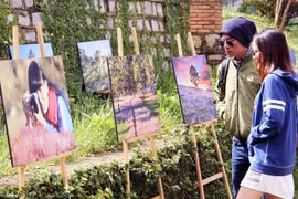 Dà Lat - prairie des herbes roses