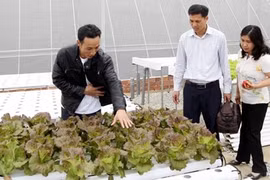 Le Japon aide Lâm Dông à devenir un grand centre d’agriculture en Asie du Sud-Est