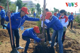 Valoriser davantage le bénévolat chez les jeunes