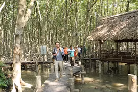 Cân Gio : nature et histoire à la croisée des chemins