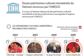 Douze patrimoines culturels immatériels du Vietnam reconnus par l'UNESCO