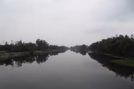 Quang Nam lance un projet de conservation du bambou