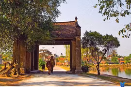 L’héritage culturel, un bien précieux à conserver