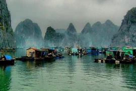 De nouvelles sirènes de la baie de Ha Long