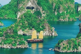 La ville de Hai Phong met le cap sur le tourisme maritime
