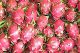  Les fruits vietnamiens de plus en plus populaires au Canada