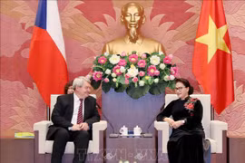 Pour approfondir les relations parlementaires Vietnam-R. tchèque