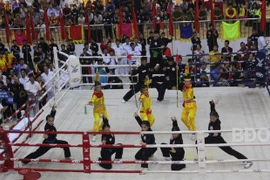 Le 2e Festival international des arts martiaux commence à Binh Dinh