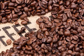 Vietnam – EAU : environ 10 mlds de dollars d’échanges commerciaux en 2018