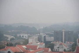 Singapour : la qualité de l'air est la plus basse depuis des années