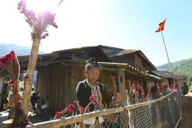 Activités du Village culturel et touristique des ethnies du Vietnam pour le Nouvel an 2020