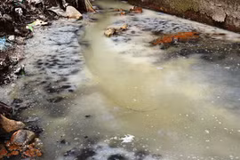 Vietnam et Japon coopèrent pour lutter contre la pollution 