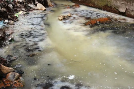 Vietnam et Japon coopèrent pour lutter contre la pollution 