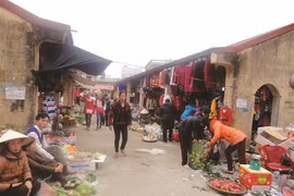 Le Têt, temps idéal pour un retour aux sources