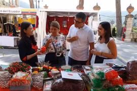 Les épices vietnamiennes pimentent Rieti Cuore Piccante