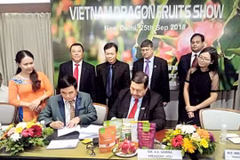 Inde: belles perspectives de coopération commerciale