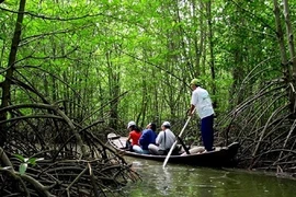 Lutter contre l’érosion de la biodiversité au Vietnam