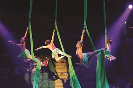 Festival international du cirque 2019: De nouveaux talents vietnamiens sous le chapiteau 