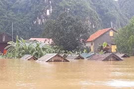 La Belgique soutient le Vietnam dans la gestion des catastrophes naturelles 