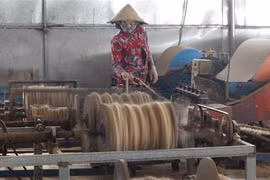 Enquête auprès des entreprises en 2019