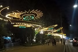 Hanoï : de nombreuses activités pour accueillir le Nouvel An lunaire 2019 