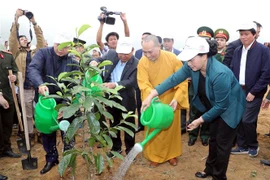 La présidente de l’AN incite à promouvoir la fête de plantation d’arbres