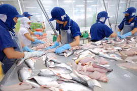 Croissance continue des exportations nationales de pangasius vers l’ASEAN