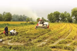 L’édification de la nouvelle ruralité, mission accomplie avant terme