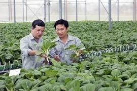 De grands groupes vietnamiens s’intéressent de près à l’agroalimentaire