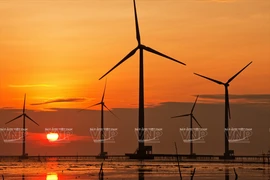Comment la Belgique soutient la stratégie vietnamienne de croissance verte