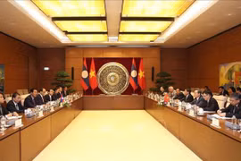 Renforcement des relations entre les deux organes législatifs Vietnam-Laos