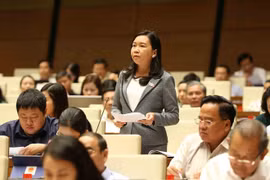 L’AN discute des rapports sur les plans socio-économiques de 2018 et 2019