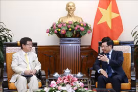Le vice-PM et ministre des AE Pham Binh Minh reçoit un responsable japonais