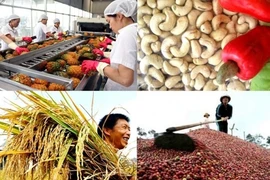 Le secteur agricole connaît un excédent commercial en deux mois